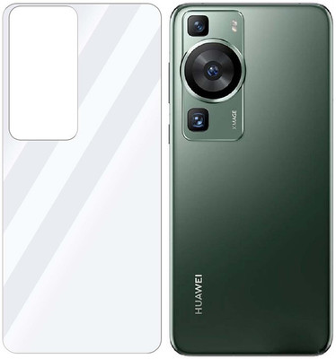 Enlinea Back Screen Guard for Huawei P60 Back (Glossy)(Pack of 1)