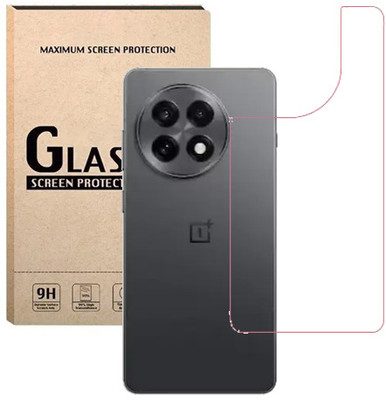 HOBBYTRONICS Back Screen Guard for OnePlus 13R, ONEPLUS 13R(Pack of 1)