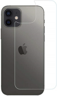 FwellT Back Screen Guard for Apple iPhone 12 mini(Pack of 1)