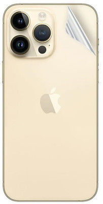 Bodoma Back Screen Guard for Apple iPhone 12 Pro Max(Pack of 1)