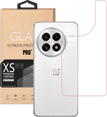 HOBBYTRONICS Back Screen Guard for oneplus 13, ONEPLUS 13 5G(Pack of 1)