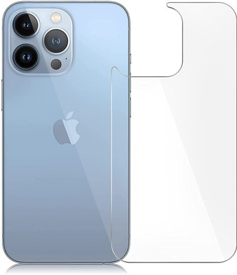 DSCASE Back Screen Guard for Apple iPhone 13 Pro, iPhone 13 Pro(Pack of 1)