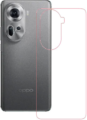 HOBBYTRONICS Back Screen Guard for Vivo X100 Pro(Pack of 1)