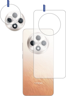 DESIBUZZ Back Tempered Glass for Oppo F27 5G With Camera Lens Protector(Pack of 2)