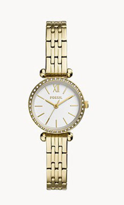REZART Screen Guard for Fossil BQ3503 Tillie Mini Watch(Pack of 1)