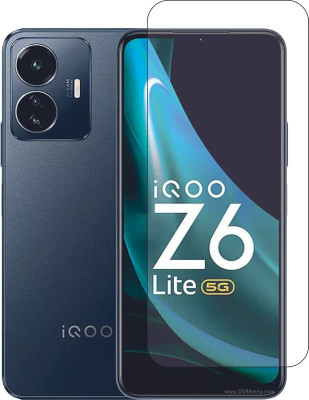 Palio Edge To Edge Tempered Glass for IQOO Z6 Lite 5G, IQOO Z6, VIVO IQOO Z6 Lite 5G(Pack of 1)