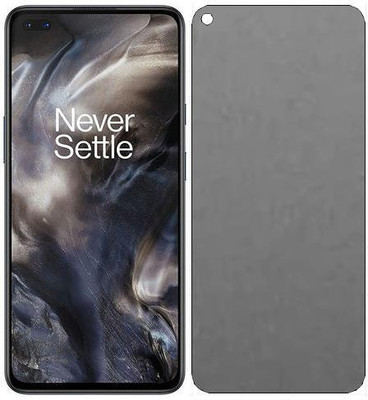Snap Impossible Screen Guard for Compatible for Matte-NOV23-Oneplus Nord(Pack of 1)
