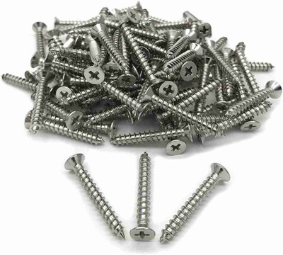 Elco Stainless Steel Flat Head Self-tapping Screw(4.2 mm Pack of 100)