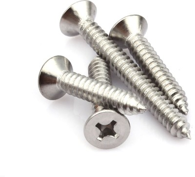 Themujtaba Stainless Steel Flat Head Drywall Screw(8 mm Pack of 100)