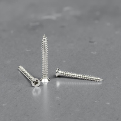 swaroopa Stainless Steel Bugle Head Chipboard Screw(4 mm Pack of 80)