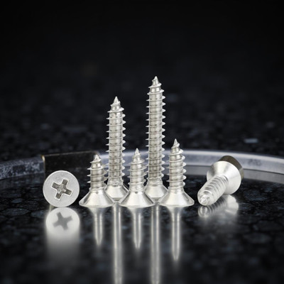 swaroopa Stainless Steel Bugle Head Chipboard Screw(4 mm Pack of 50)