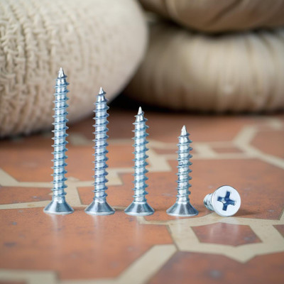 swaroopa Stainless Steel Bugle Head Chipboard Screw(5 mm Pack of 40)