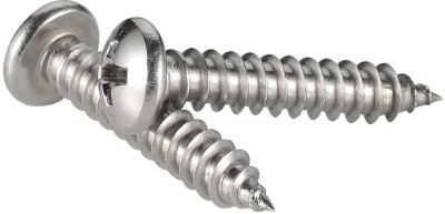 B K Jagan and Co Stainless Steel Pan Head Self-tapping Screw(8 mm Pack of 100)