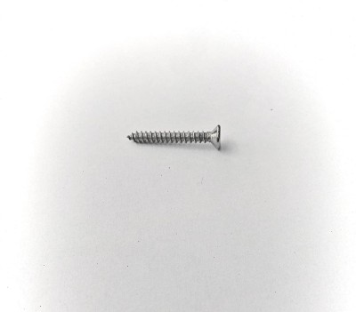 Chandan Stainless Steel Flat Head Security Head Screw(10 mm Pack of 50)