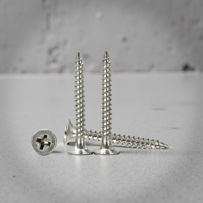 swaroopa Stainless Steel Bugle Head Chipboard Screw(4 mm Pack of 150)
