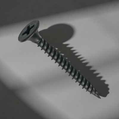 swaroopa Iron Bugle Head Drywall Screw(3.5 mm Pack of 200)
