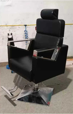 MikeaInfo Salon Chair Adjustable Styling Chair with Leg Rest(Black)