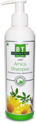 BT BOERICKE & TAFEL Arnica Shampoo The richness of Arnica, jaborandi(250 ml)