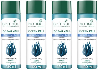 BIOTIQUE Ocean Kelp Anti Hair Fall Shampoo 120 ML (Pack Of 4)(480 ml)