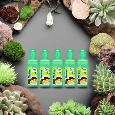 bbts HERBAL AND JADIBUTI ROOTS MEDIKER SHAMPOO 50ML x 5pc(250 ml)