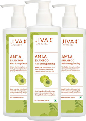JIVA AYURVEDA Amla Shampoo - Ayurvedic Shampoo For Preventing Hairfall & Breakage - 200 ml - Pack of 3(200 ml)