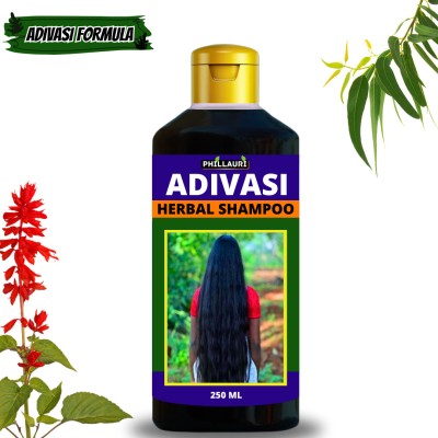 Phillauri Adivasi Shampoo for Anti-Dandruff Shampoo - Strengthens Hair Shampoo(250 ml)