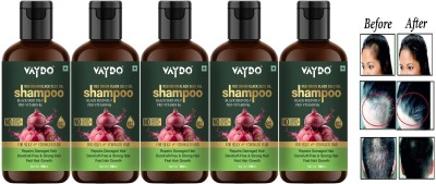 vaydo Red Onion 500ML Black Seed Oil Shampoo&Pro-Vitamin B5|Anti-hairfall, Hair Growth(500 ml)