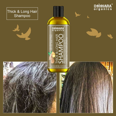 DONNARA organics Thick & Long Hair Shampoo with Ginger Extract To Get Sleek Hair Pack 1 of 100ML(100 ml)