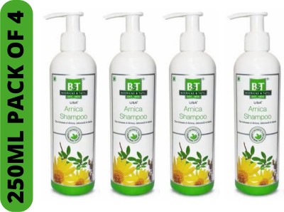 Boericke & Tafel B&T HOMEOTRADE ARNICA SHAMPOO 250ML PACK OF 4(1000 ml)