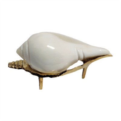 Divine Bazaar Brass Shankh Stands, jal shankh, Shankh for Pooja (Small size) (pack of 1) Sacred Shankh(White)