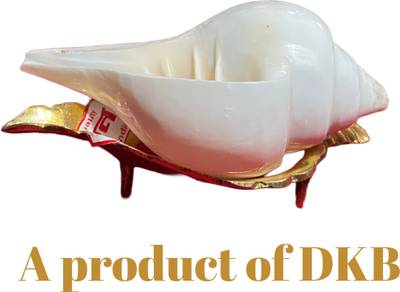 DKB Jal shankh Sacred Shankh