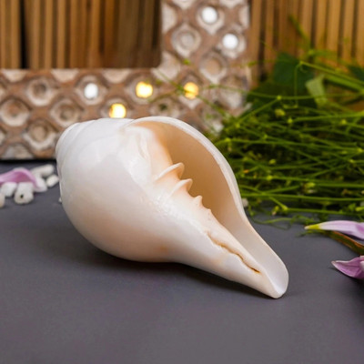 DIVINE HINDU Blowing Shankh (Small) | Sacred Conch Shell for Puja, Vastu & Positive Vibes Blowing Shankh(White)