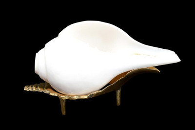 BUY N RELAX Blowing Shankh 5 inch With stand medium size Blowing Shankh(White)