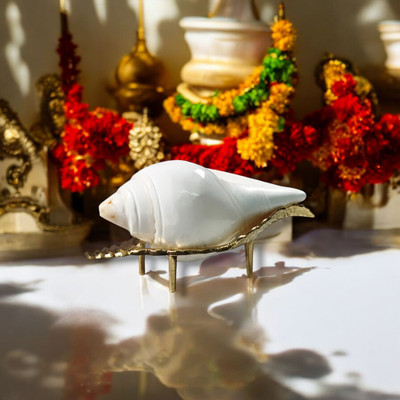 Divine Bazaar Sacred Shankh(Yellow)