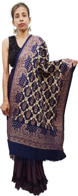 WEAVER VILLAS Pashmina Embroidered Women Shawl(Blue)