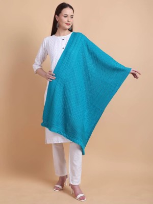 Daily Needs Shop Wool Self Design Women Shawl(Light Blue)