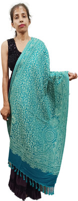 WEAVER VILLAS Pashmina Embroidered Women Shawl(Green)