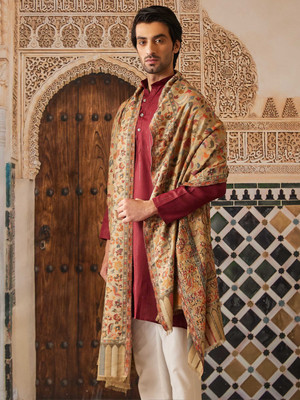 Pashmoda Wool Woven Men Shawl(Multicolor)