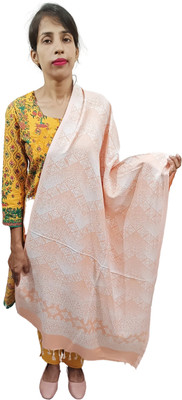 WEAVER VILLAS Pashmina Embroidered Women Shawl(Multicolor)