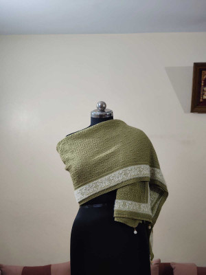 VASANTSHAWLS Acrylic Embellished Women Shawl(Green)