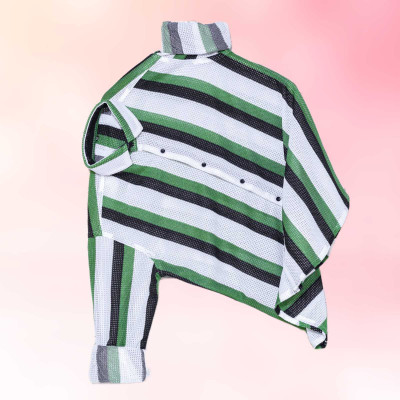 Vastram Enterprise Men Striped Casual Green Shirt