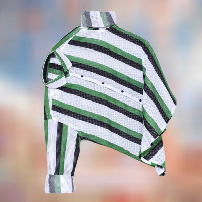 Vastram Enterprise Men Striped Casual Green Shirt