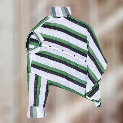 Vastram Enterprise Men Striped Casual Green Shirt