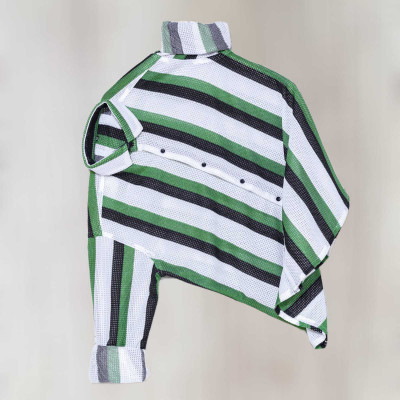 Vastram Enterprise Men Striped Casual Green Shirt