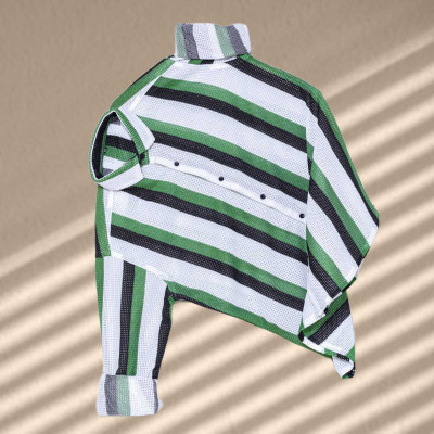 Savaliya Enterprise Men Striped Casual Green Shirt