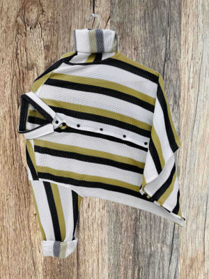 Manjubaa Enterprise Men Striped Formal Multicolor Shirt