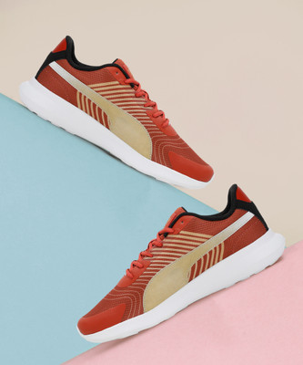 PUMA X RCB Champions Cricket Shoes For Men(Red , 9)