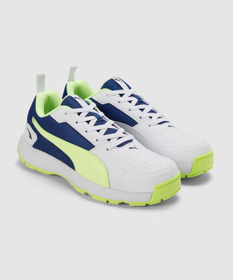 PUMA Cricket High Run Cricket Shoes For Men(White , 7)