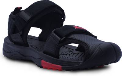 Paragon hot sale kito price