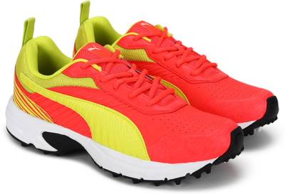 PUMA Cricket Active Cricket Shoes For Men
